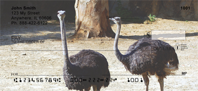 Ostriches Personal Checks