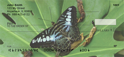 Butterfly Sampler Checks