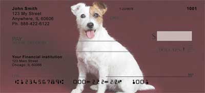 Jack Russell Terrier Checks