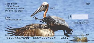 Pelican Check