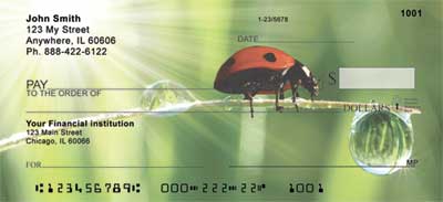Ladybugs Checks