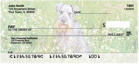 Schnauzers Checks