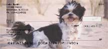Shih Tzus Checks