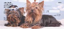 Click for info on these Yorkie checks