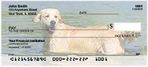German Shepherds Personal Checks