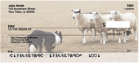 Border Collie at Work Checks