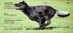 Black Lab Personal Checks