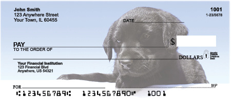 Black Lab Puppy Checks
