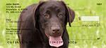 Chocolate Lab Dog Checks