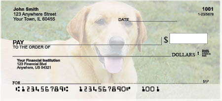 Yellow Labrador Retrievers