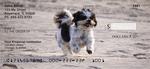 Shih Tzu Checks