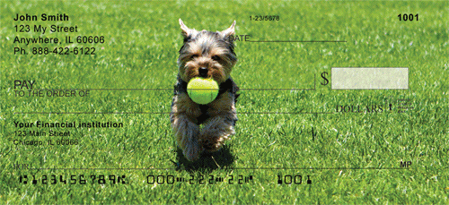 Yorkshire Terriers at Play Personal Checks