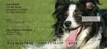 Border Collies Checks