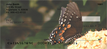 Butterfly Sampler 