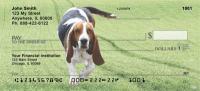 Basset Hounds Checks
