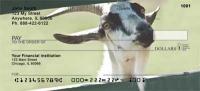 Goats Checks