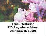 Lilac Anabel in Oil Address Labels