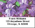 Lilac Pocahontas 2 in Oil Address Labels