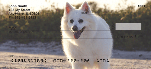 American Eskimo Dog Checks