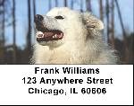 American Eskimo Dog Address Labels