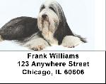 Bearded Collie Labels - Bearded Collies Address Labels