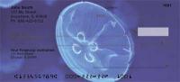 Jellyfish Checks