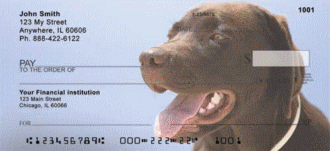Chocolate Labrador Retrievers Personal Checks